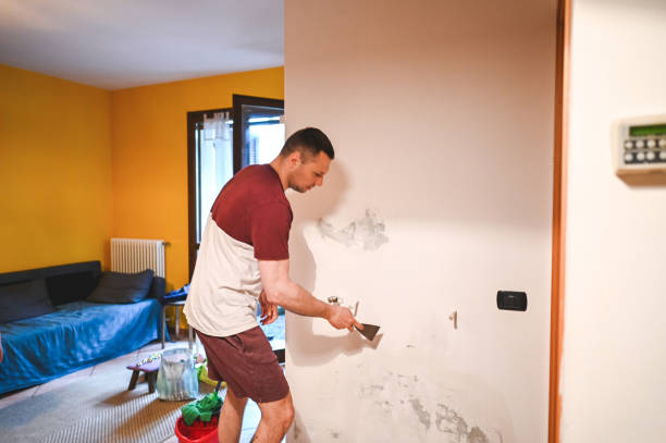 Mold Removal Process in Ridgeway, VA